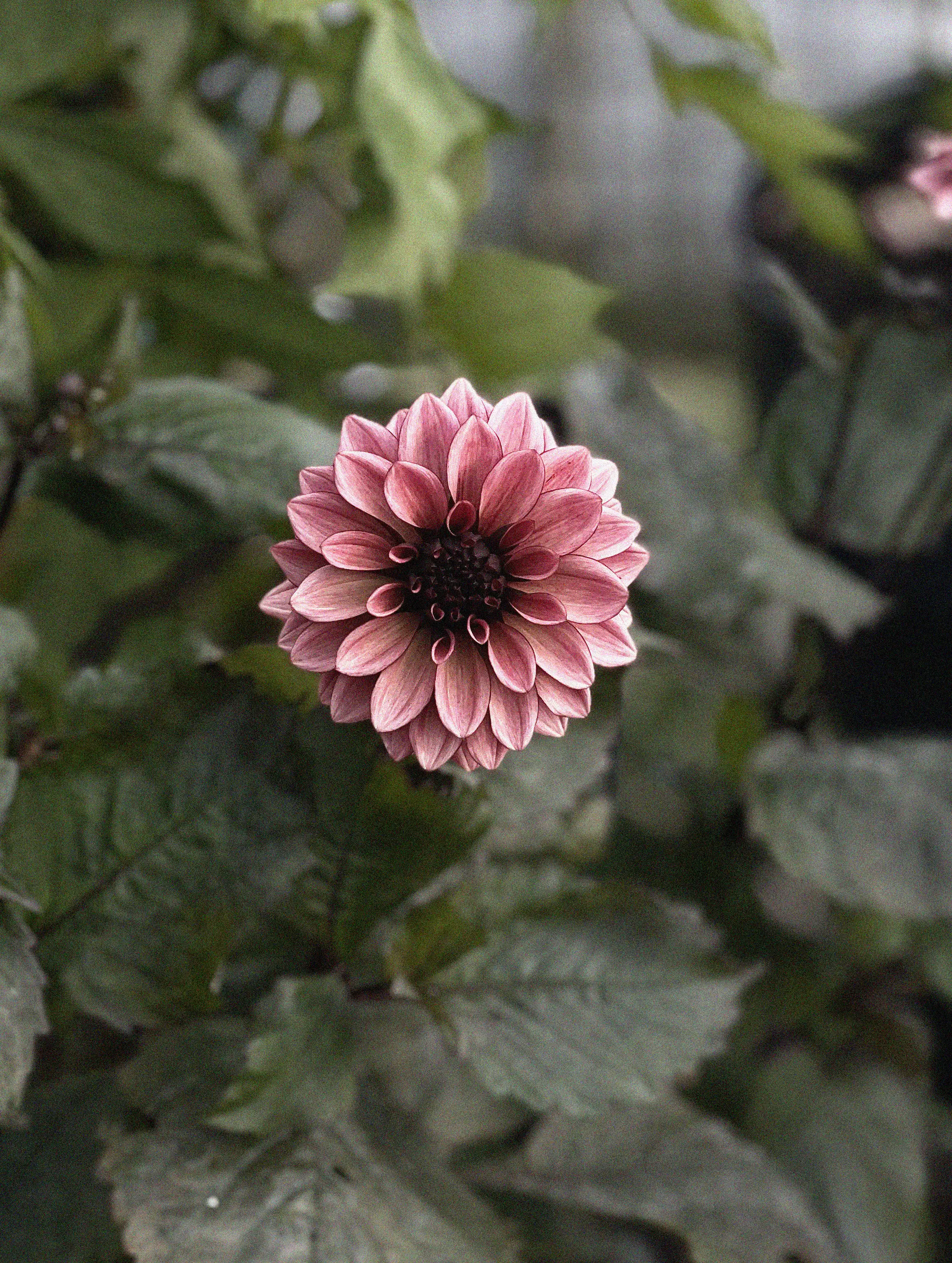 Miniatyrbild 2