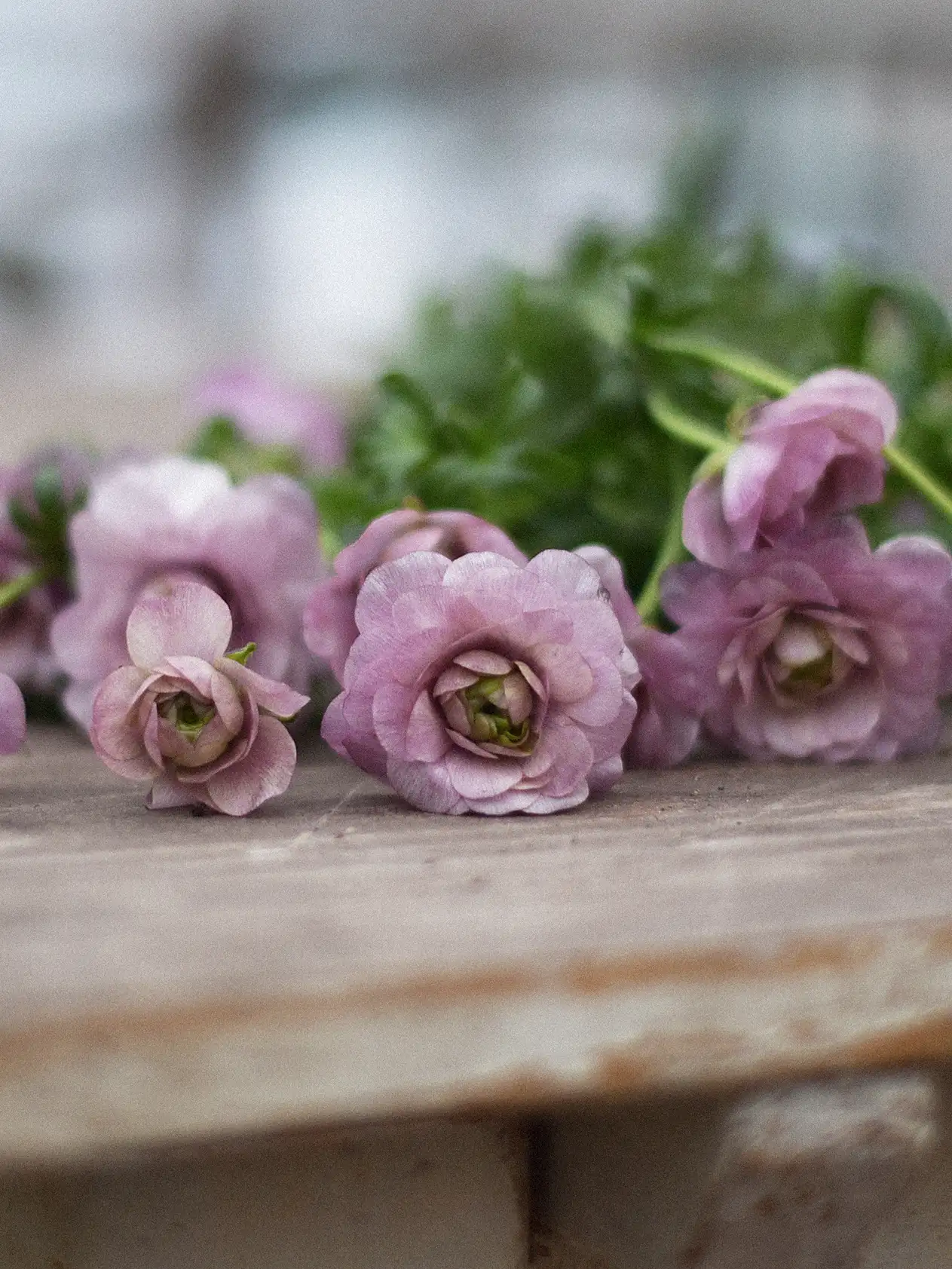 Produktbild 4
