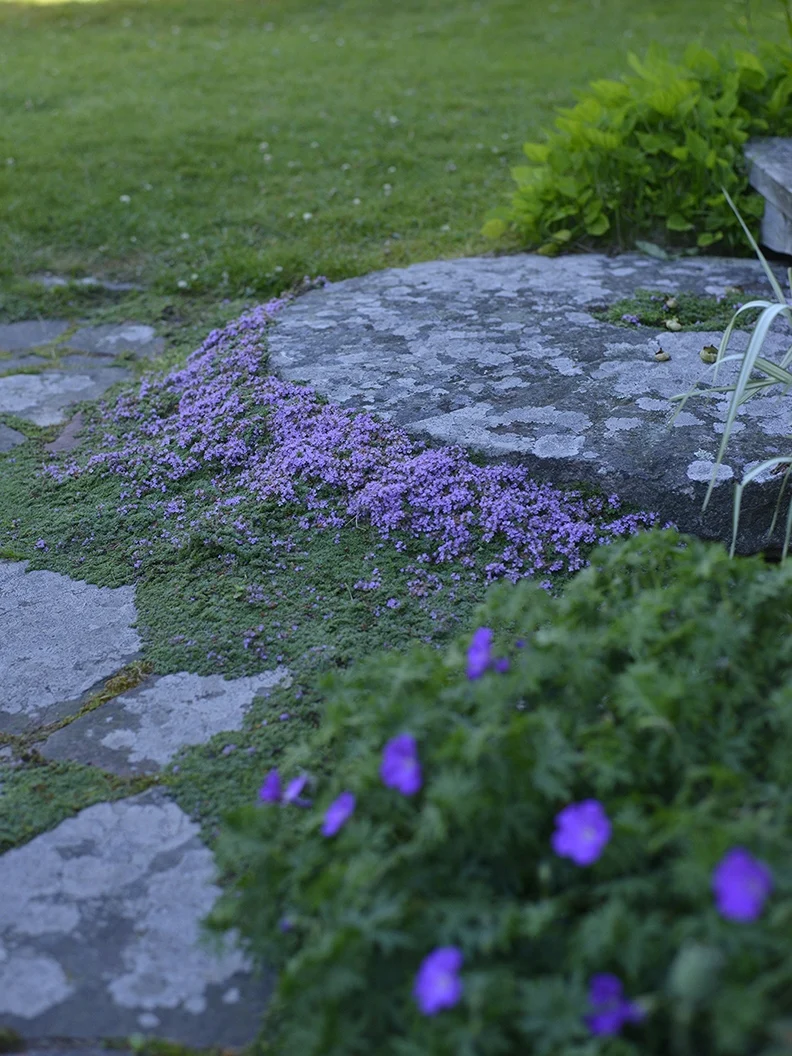 Miniatyrbild 1