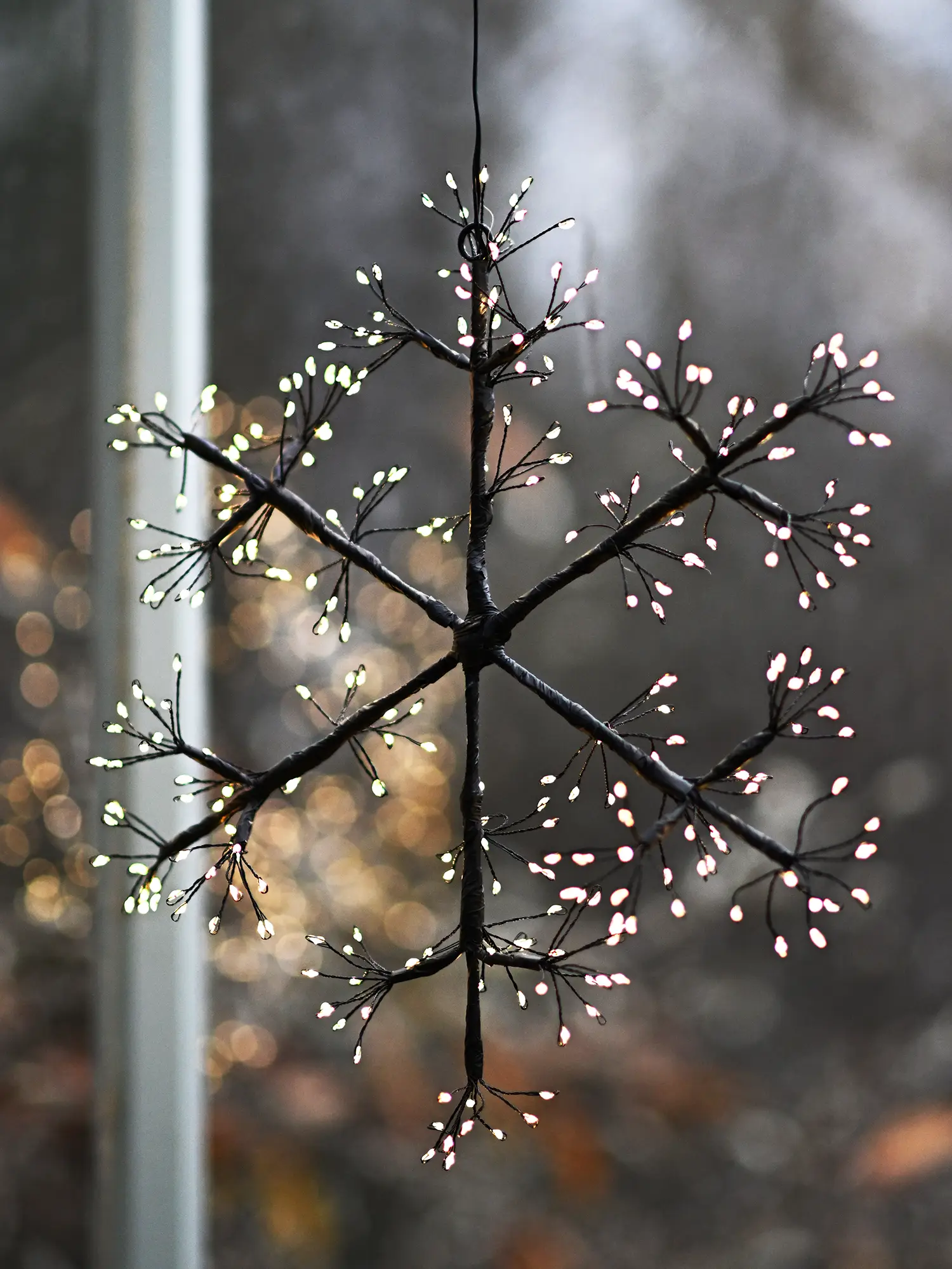 Miniatyrbild 1