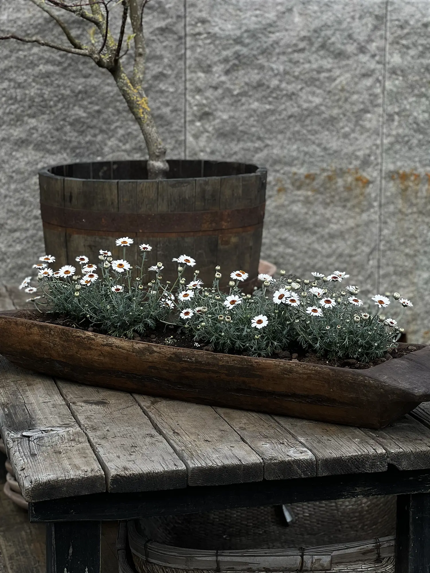 Miniatyrbild 2